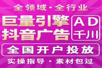 竞价广告策略案例分析